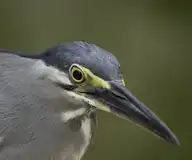 281950