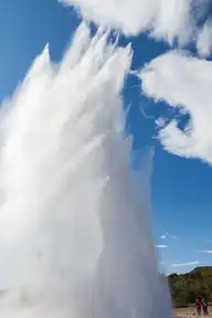 282025