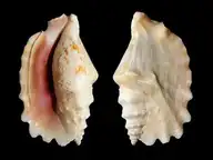 282040