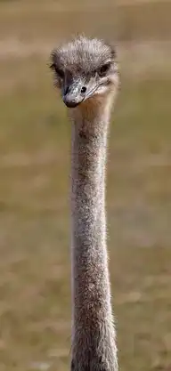 282221