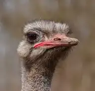 282224