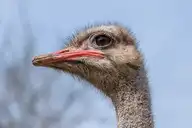 282225