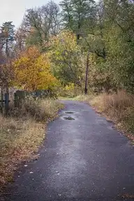 282463