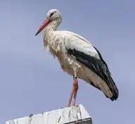 282637