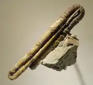 282722
