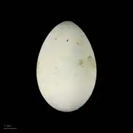 282830