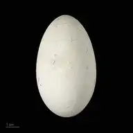 282835