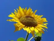 283090