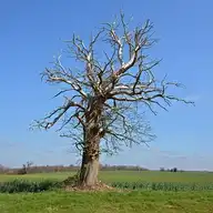 283540