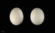 283551