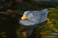 285404