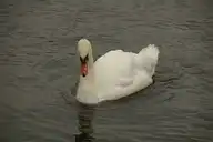 285863