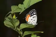 285887