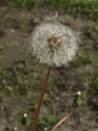 286390