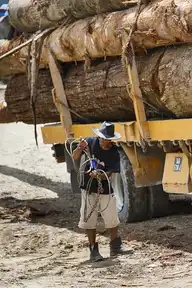 286905