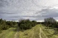 287399