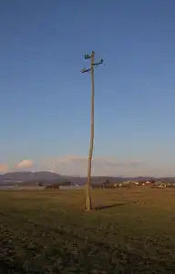 287604