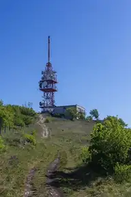 287623