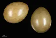 288696