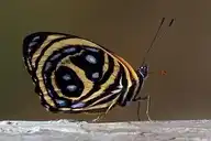 288778