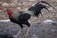 288854