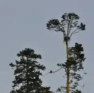 289181