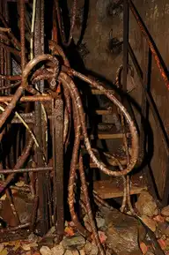 290068