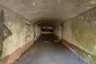 290092