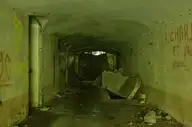 290095