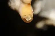 290127