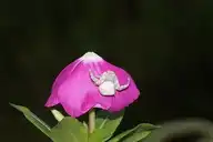 290187