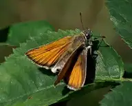 290467