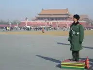 290559