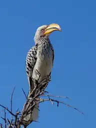 291209
