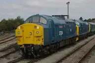 291226