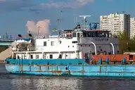291314