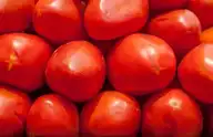 291499