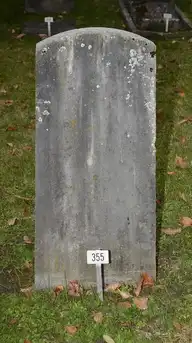 291595