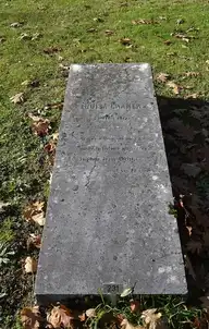 291618