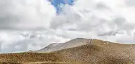 291795