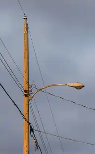 291812
