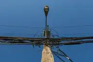 291815