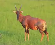 291852