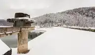 292605