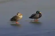 292857