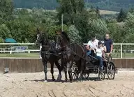 29394