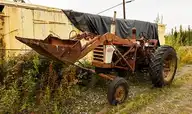 294247