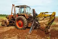294251