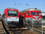 294433
