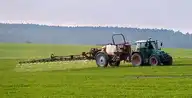 294489